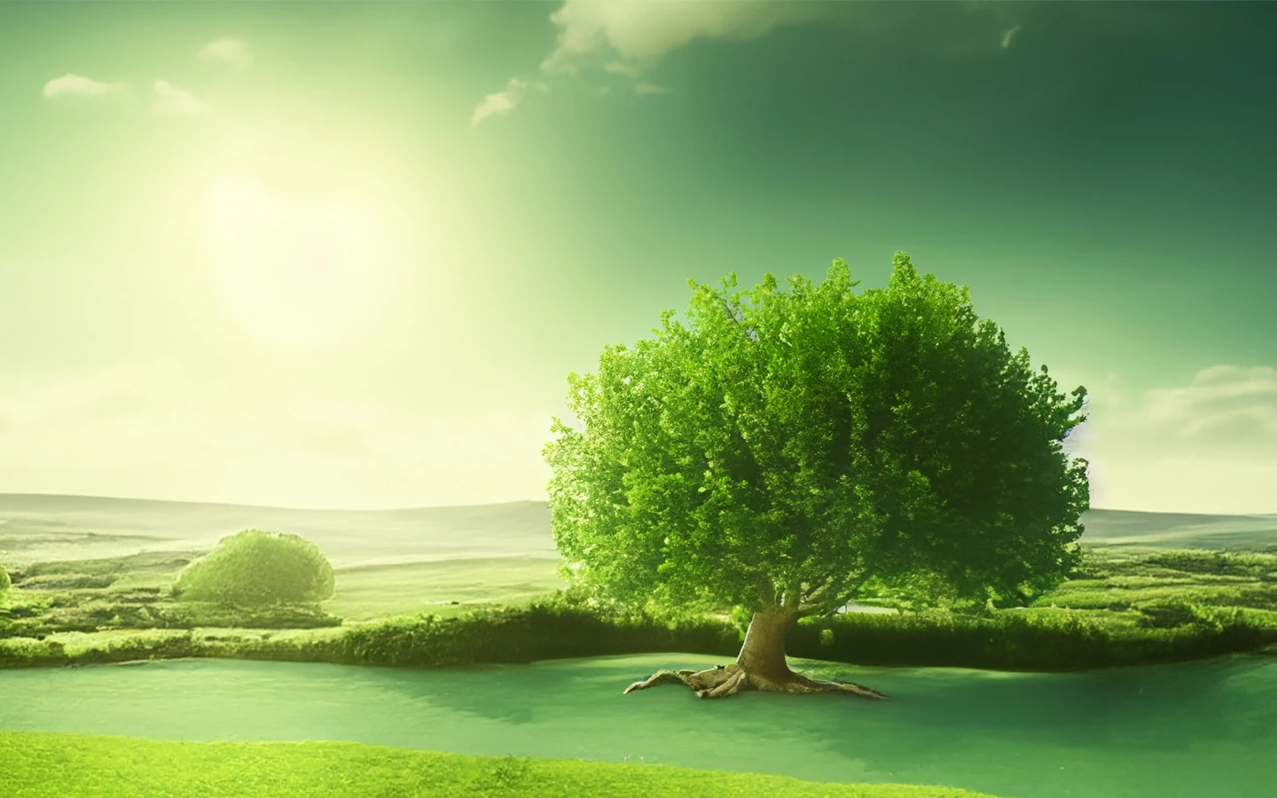 Emerald Gold