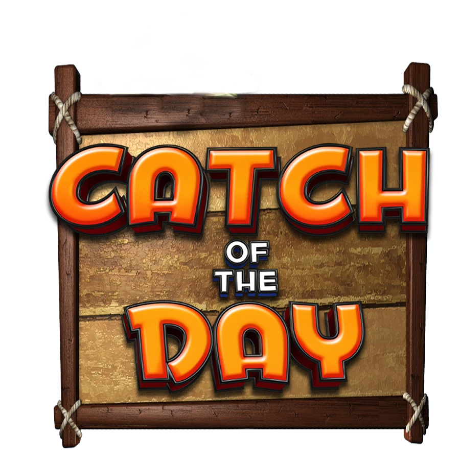 Catch of the Day