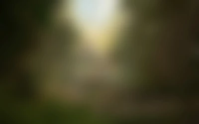 Gonzo's Quest